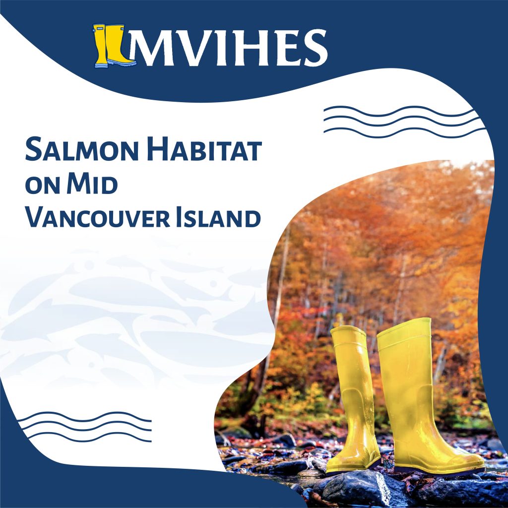 Cover design for MVIHES Salmon Habitat on Mid Vancouver Island report featuring regional imagery and branding