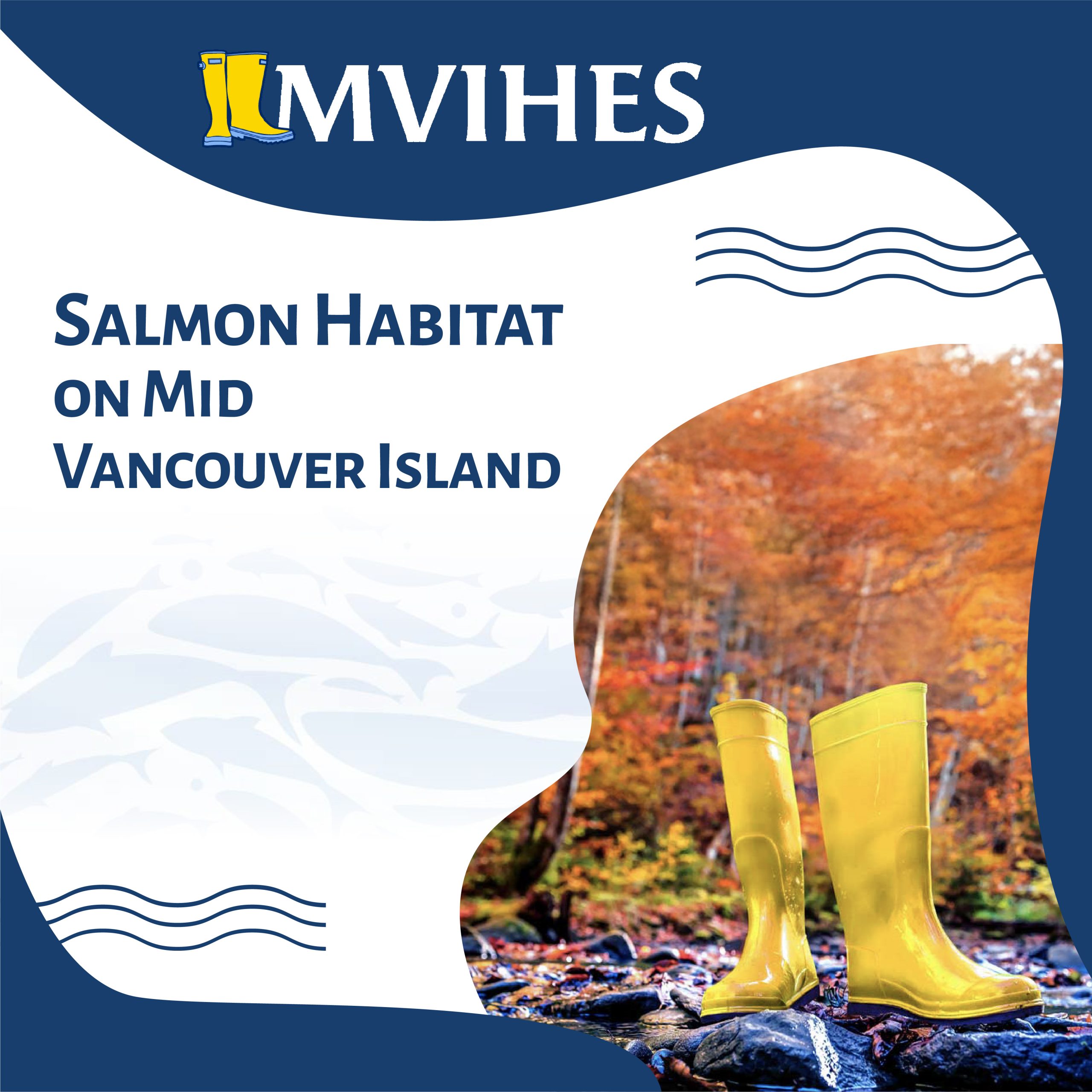 Cover design for MVIHES Salmon Habitat on Mid Vancouver Island report featuring regional imagery and branding
