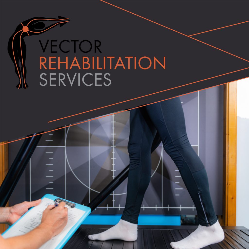 Vector Rehab Rehabilitation Services Branding