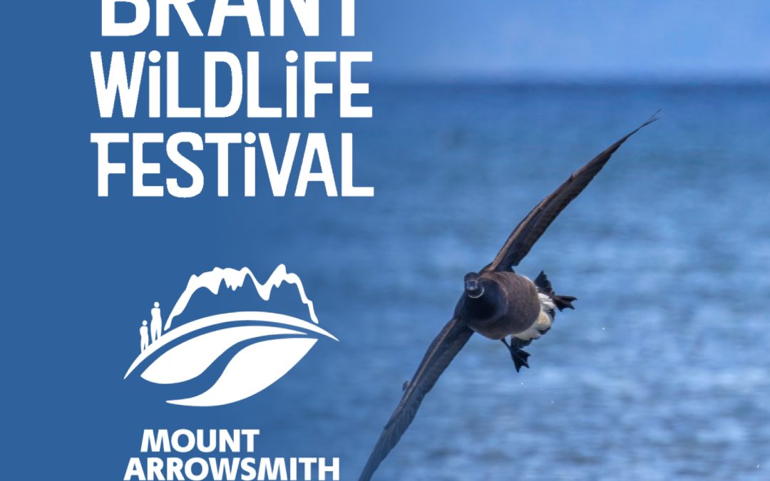 Brant Wildlife Festival